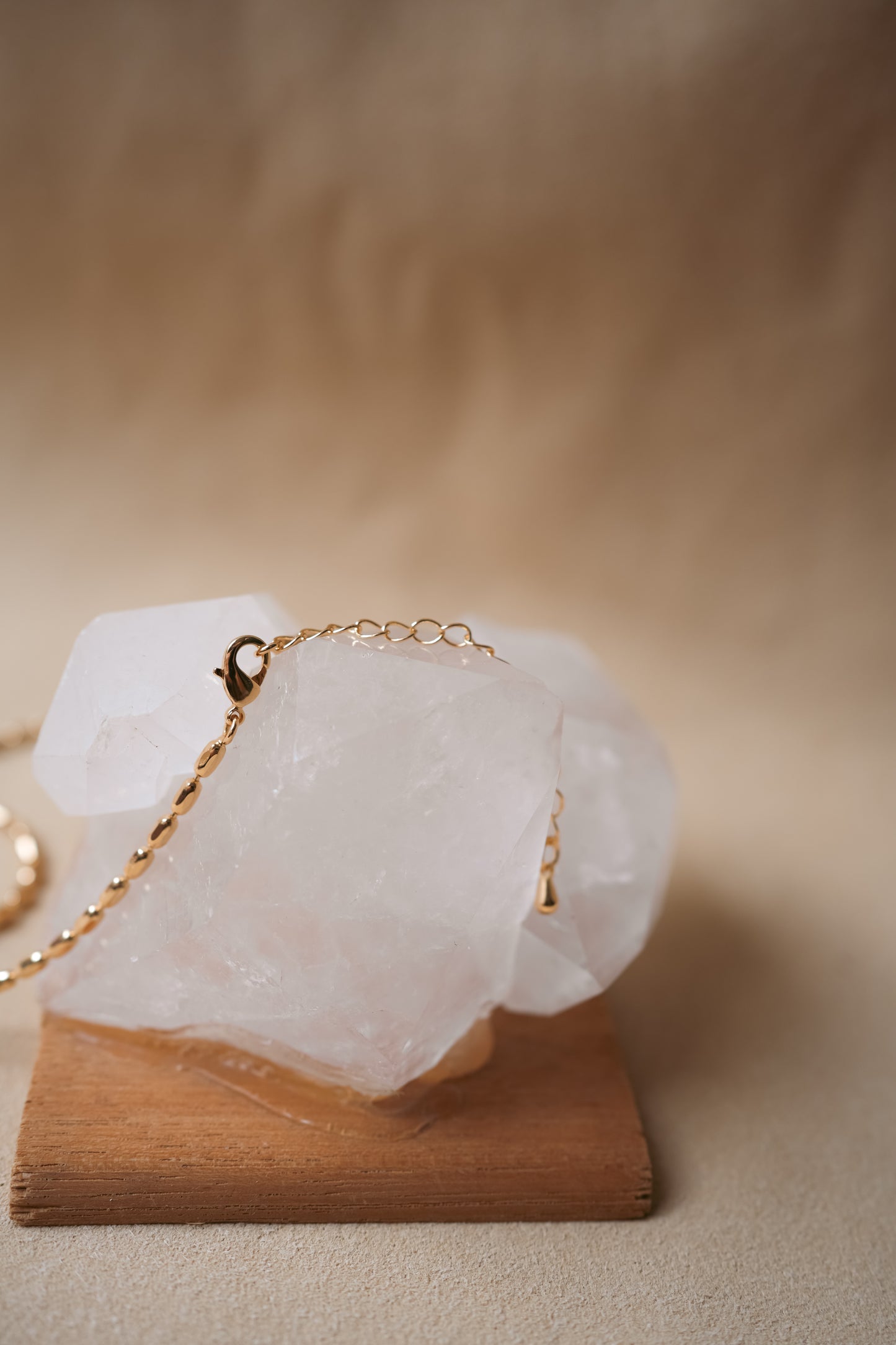 GOLD SEED Necklace