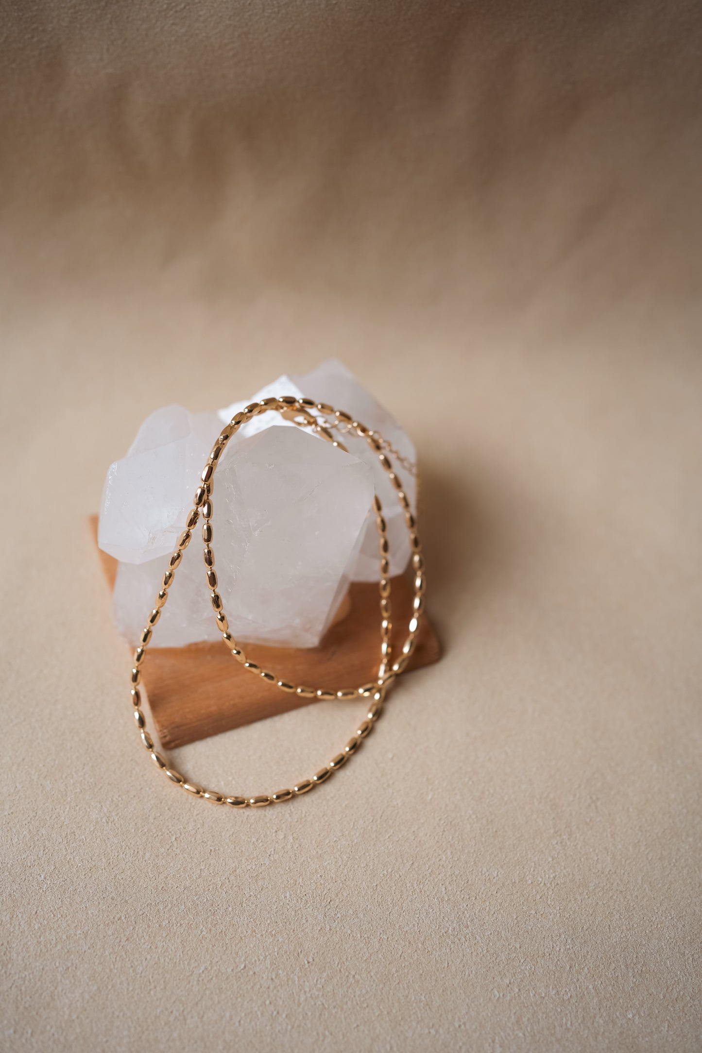 GOLD SEED Necklace