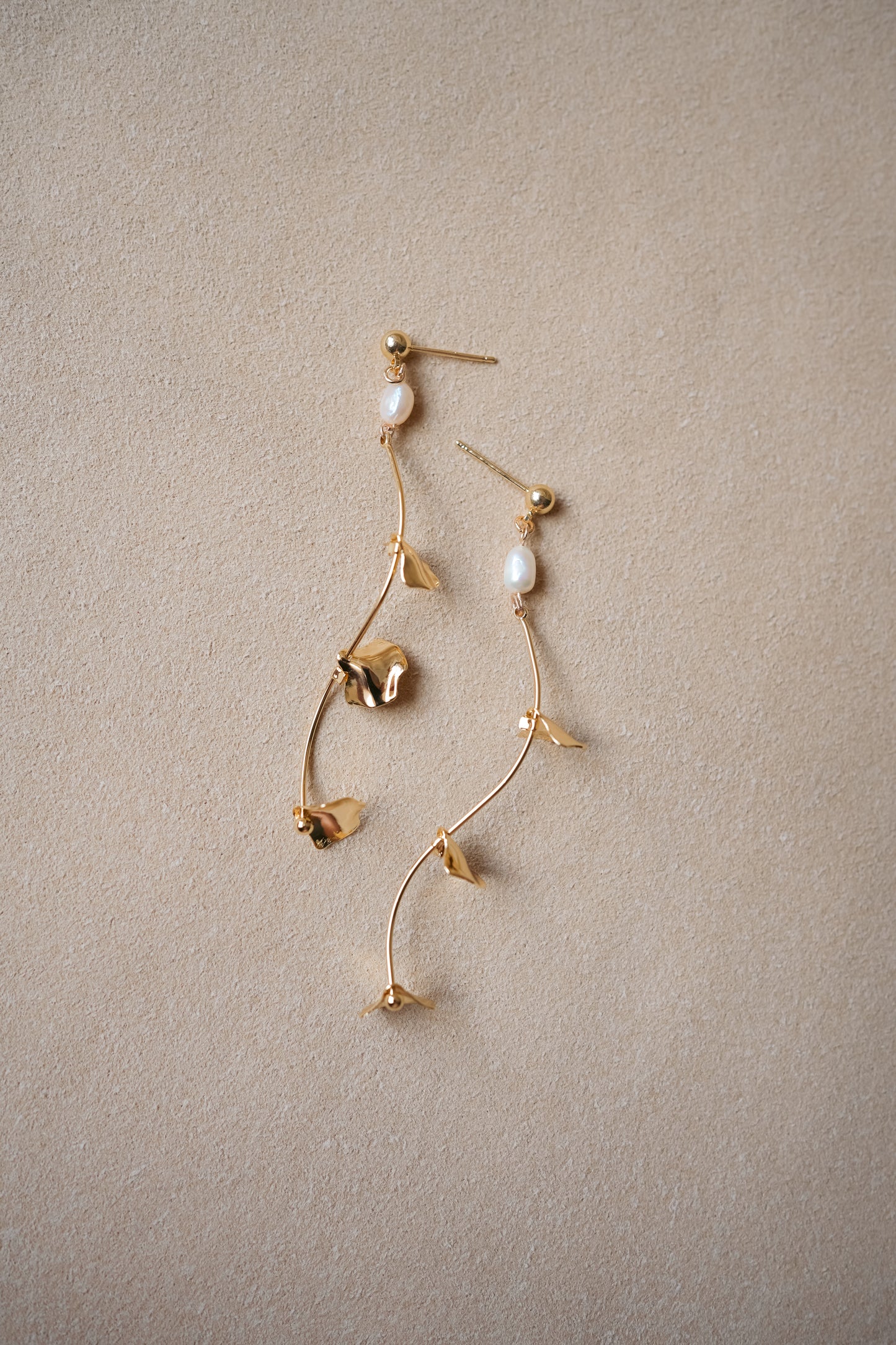 SCALLOP Wave Earrings