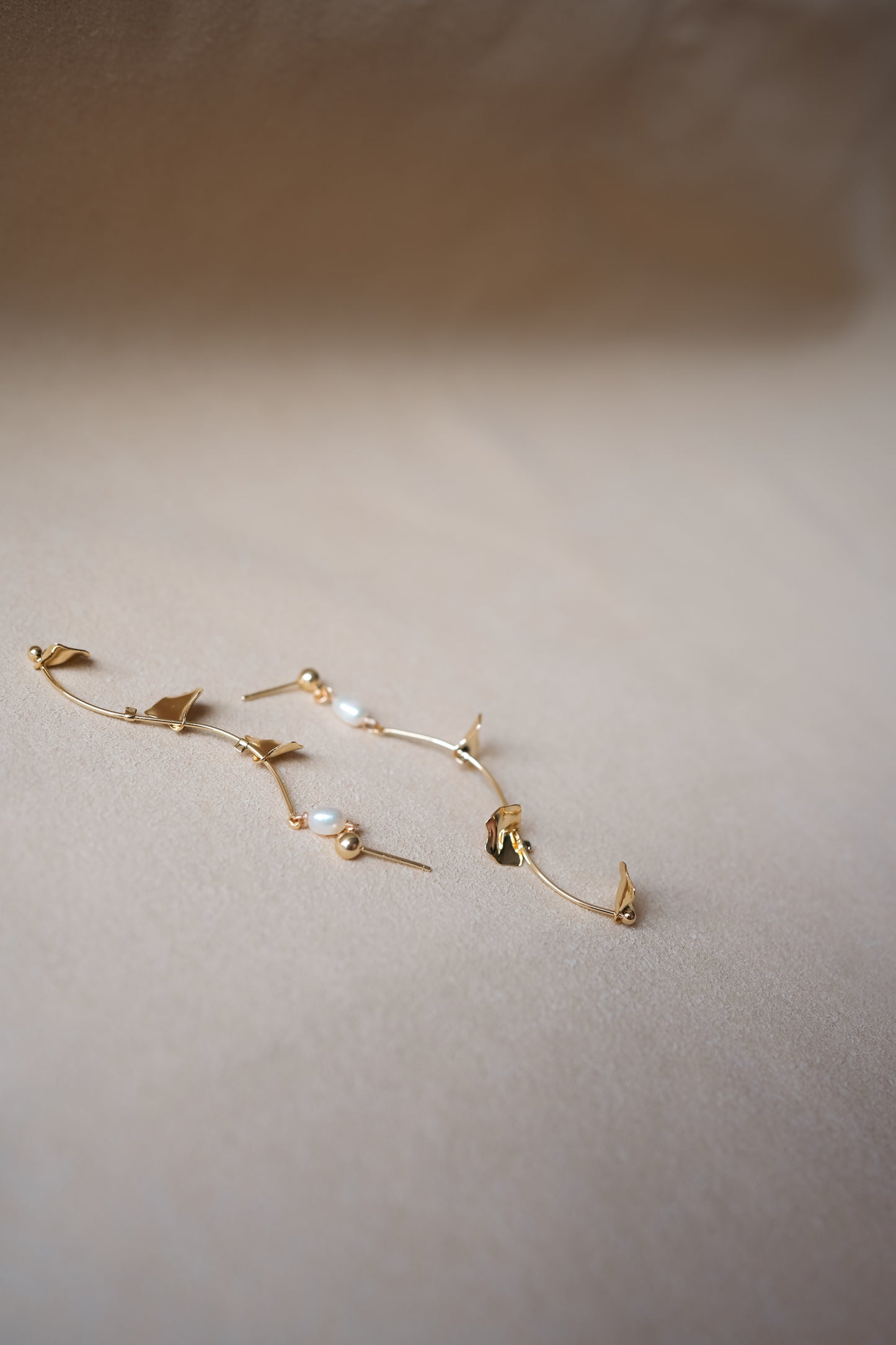 SCALLOP Wave Earrings