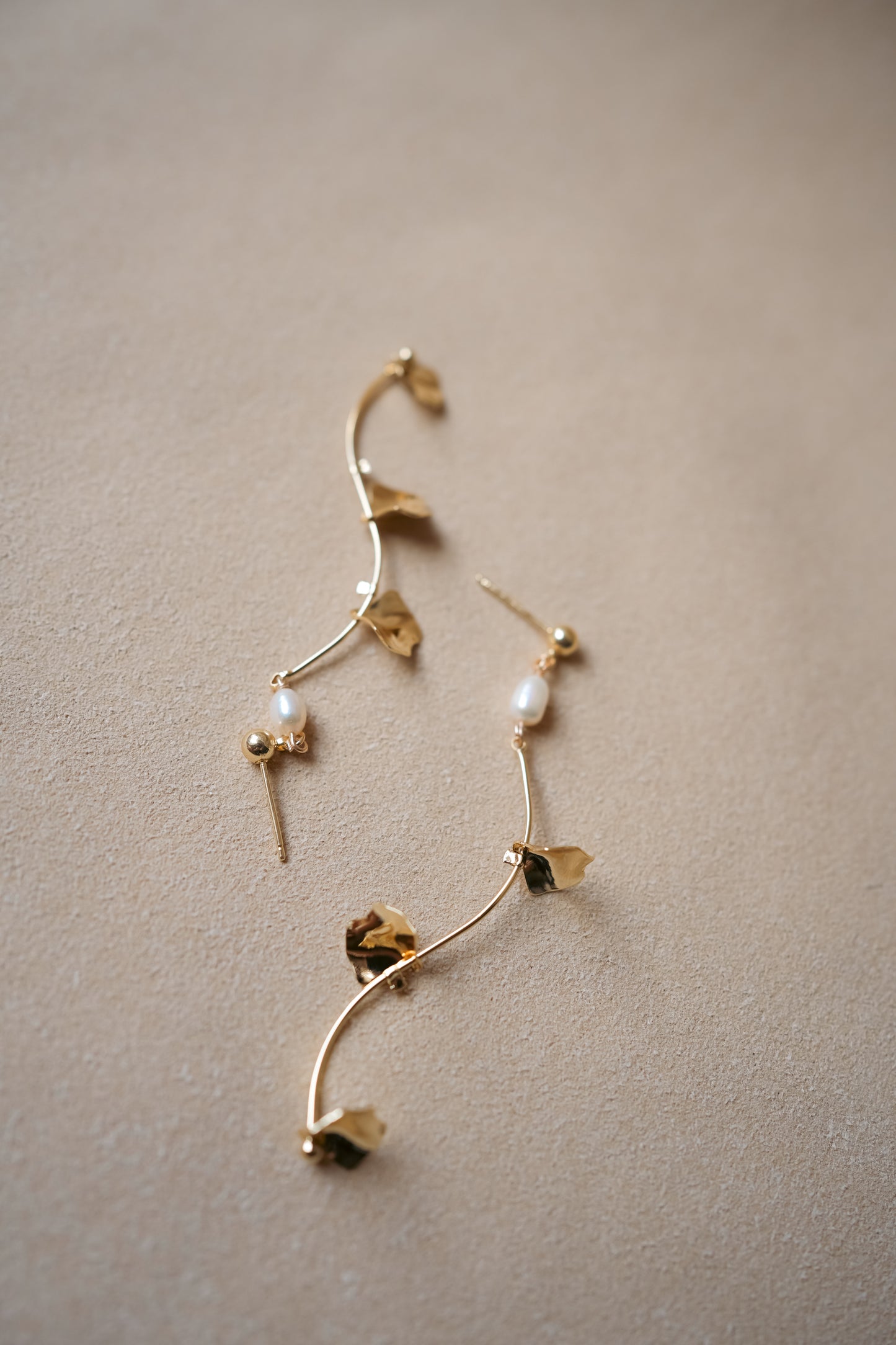 SCALLOP Wave Earrings