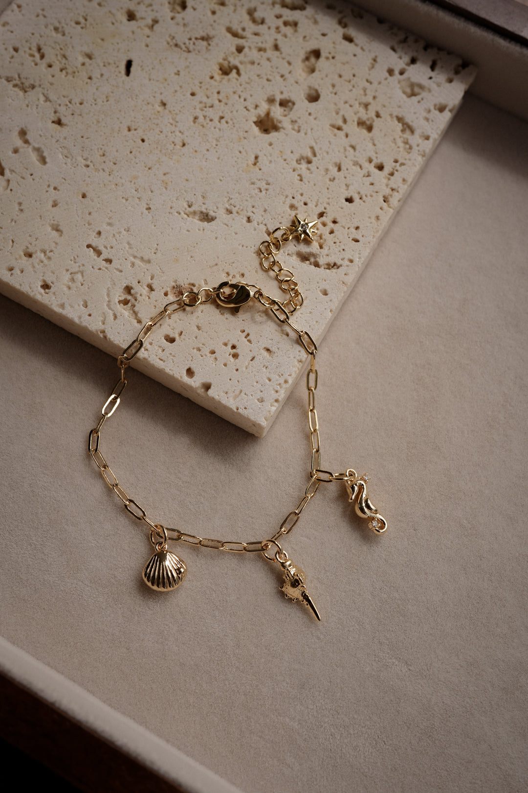 AERIN Charm Bracelet