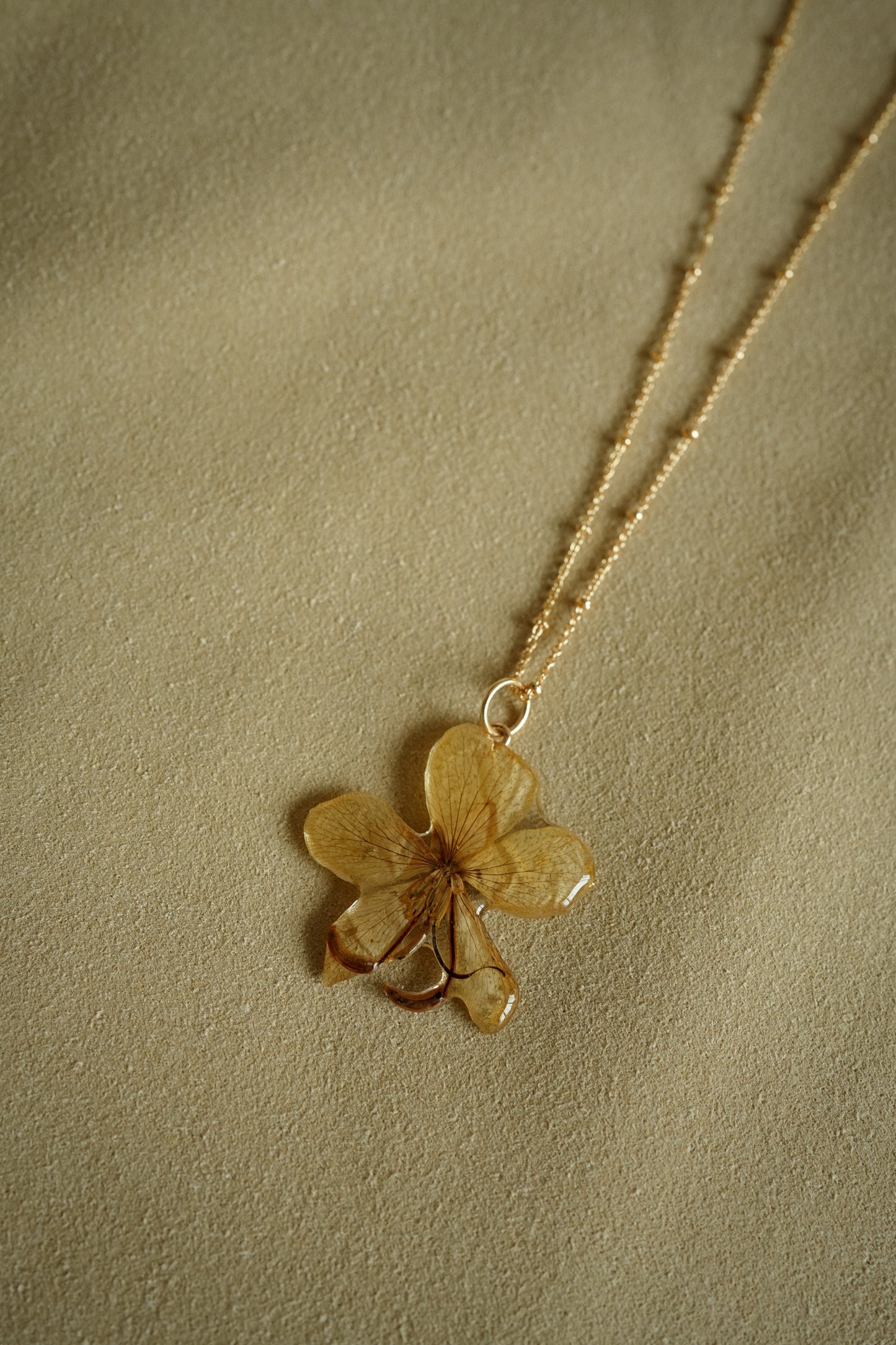 Cassia Chain Necklace